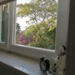 Apartment Luna