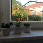 Apartment Luna