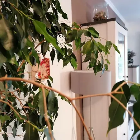 Luna Apartment *