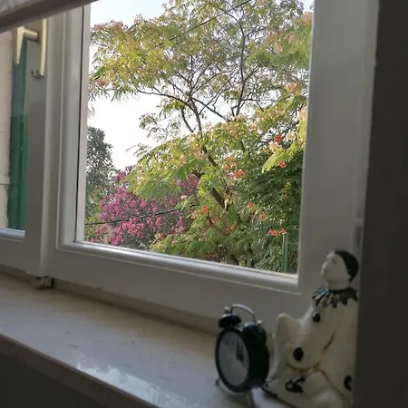Apartment Luna