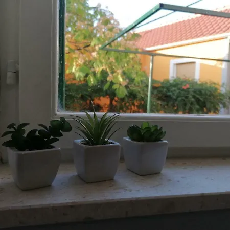Apartment Luna